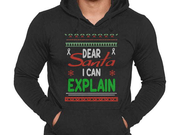 Dear Santa I Can Explain