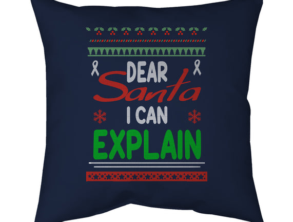 Dear Santa I Can Explain