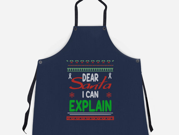 Dear Santa I Can Explain