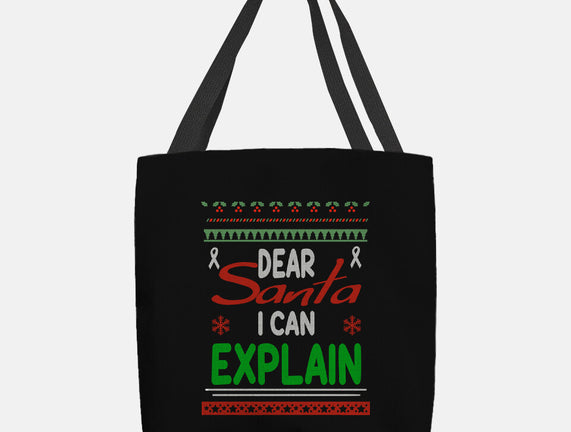 Dear Santa I Can Explain