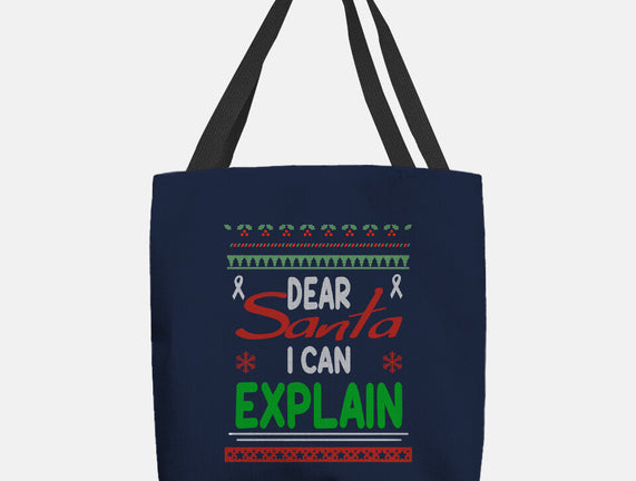 Dear Santa I Can Explain