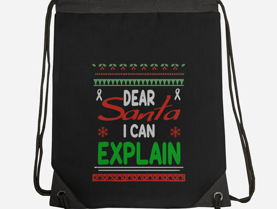 Dear Santa I Can Explain