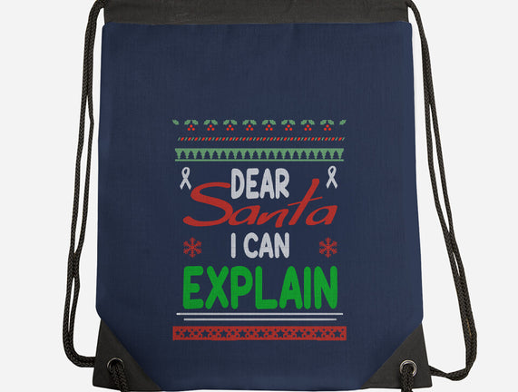 Dear Santa I Can Explain