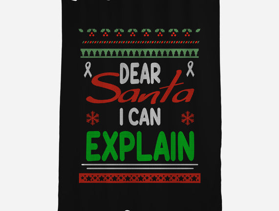 Dear Santa I Can Explain