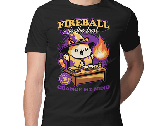 Wizard Cat Fireball