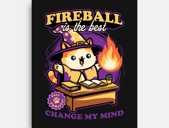 Wizard Cat Fireball