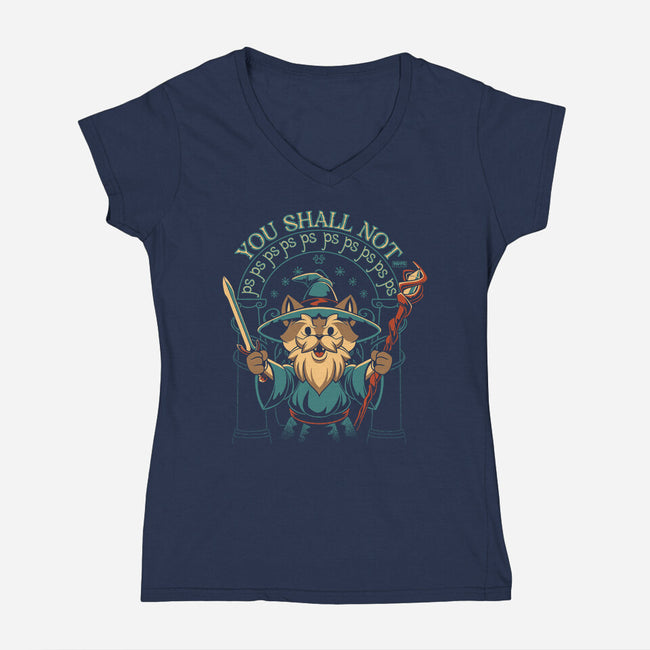 You Shall Not PSPSPS-Womens-V-Neck-Tee-worlddominationforcats