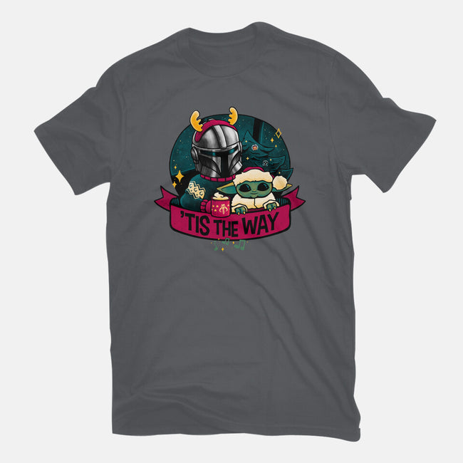 Tis The Way-Womens-Fitted-Tee-teesgeex