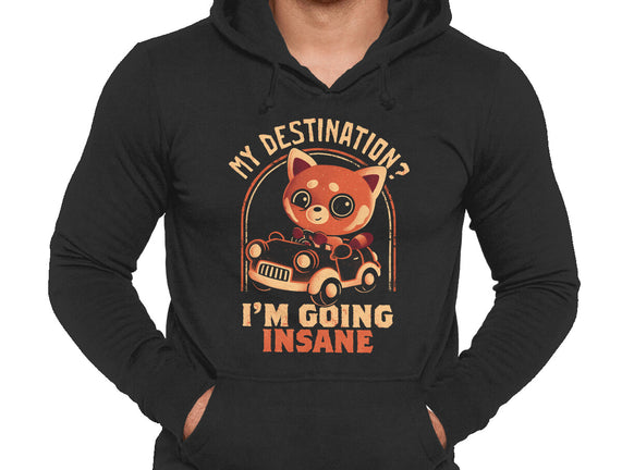 Going Insane