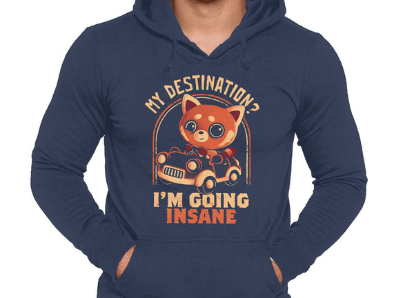 Going Insane
