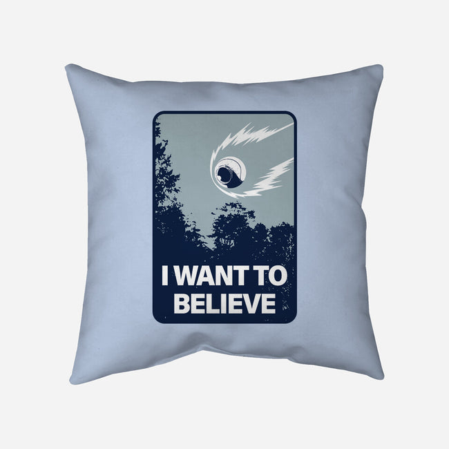 I Believe It-None-Removable Cover w Insert-Throw Pillow-se7te