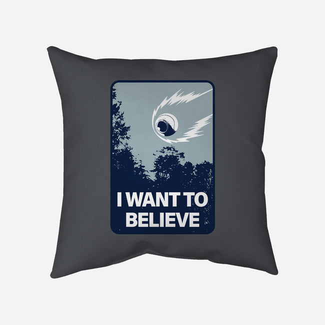 I Believe It-None-Removable Cover w Insert-Throw Pillow-se7te