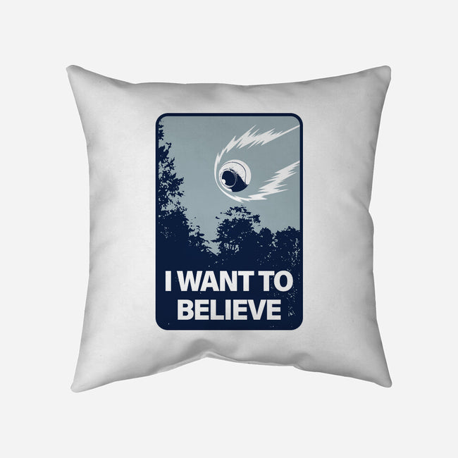 I Believe It-None-Removable Cover w Insert-Throw Pillow-se7te