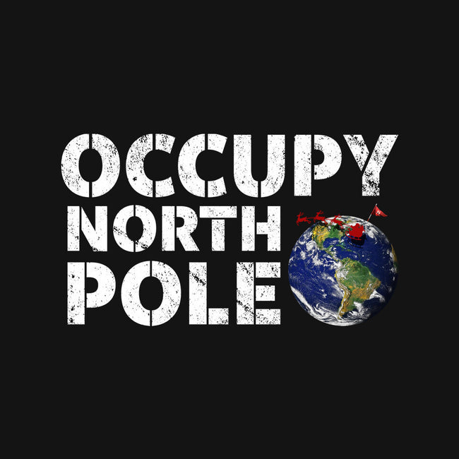 Occupy North Pole-Womens-Racerback-Tank-Boggs Nicolas