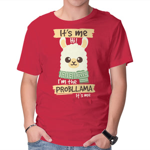 I'm The Probllama