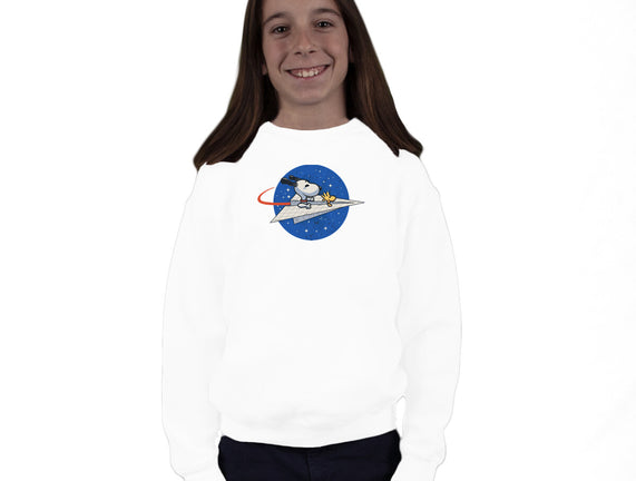 Space Voyager
