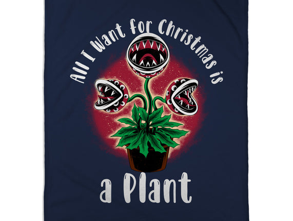 Christmas Plant