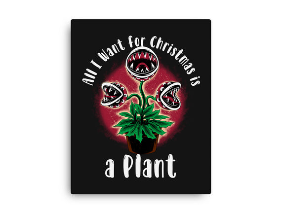 Christmas Plant