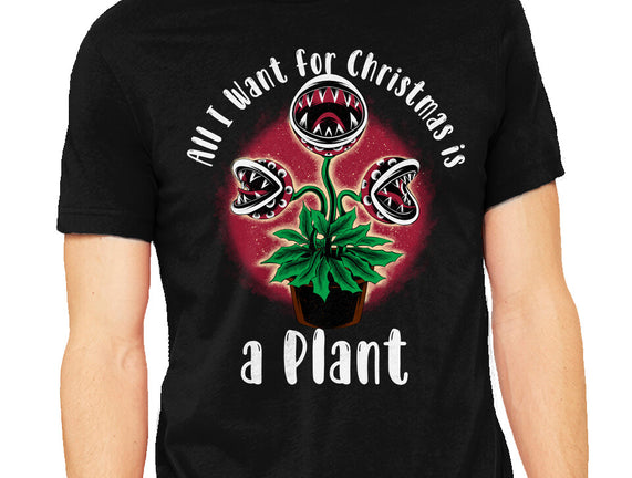 Christmas Plant