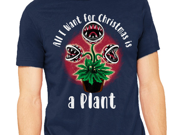 Christmas Plant