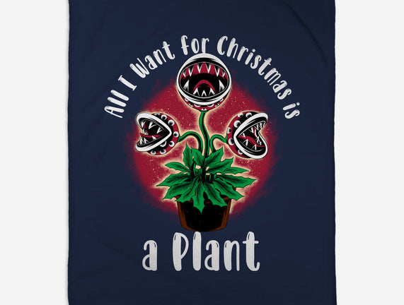 Christmas Plant