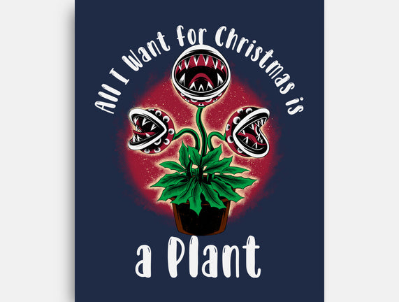 Christmas Plant