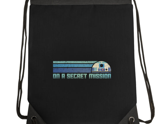 On A Secret Mission