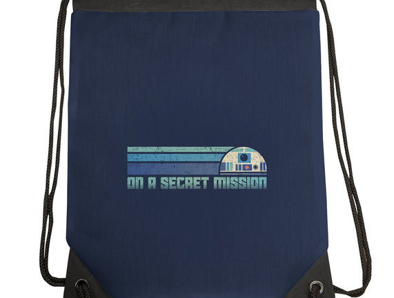 On A Secret Mission