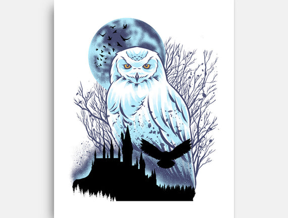 Snowy Owl