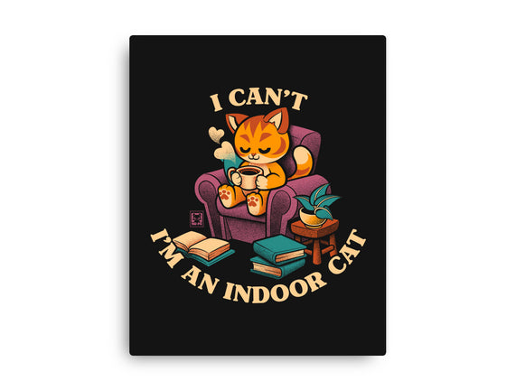 I'm An Indoor Cat