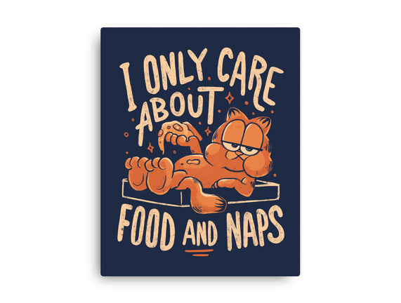 I Only Care About Food And Naps