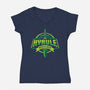 Hyrule Braves-Womens-V-Neck-Tee-arace