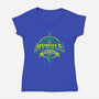 Hyrule Braves-Womens-V-Neck-Tee-arace