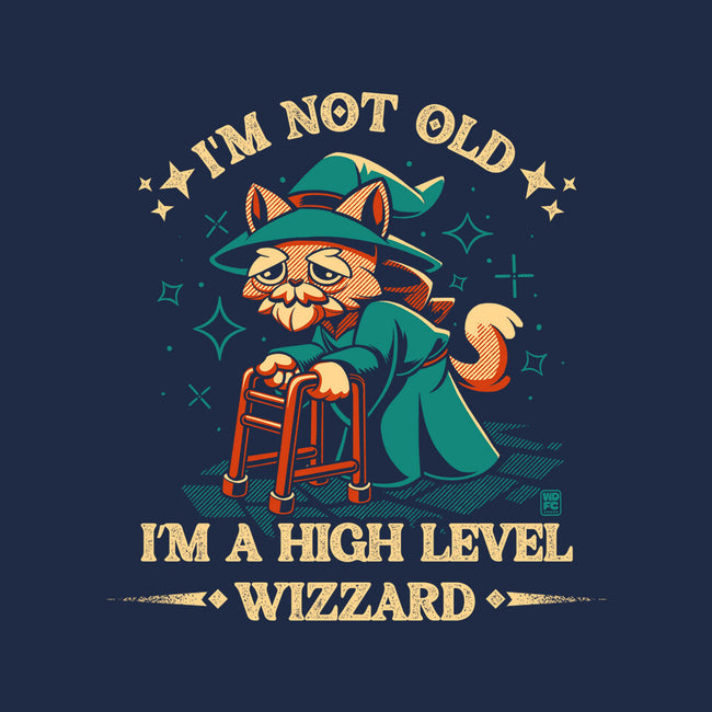 High Level Wizard-Youth-Pullover-Sweatshirt-worlddominationforcats