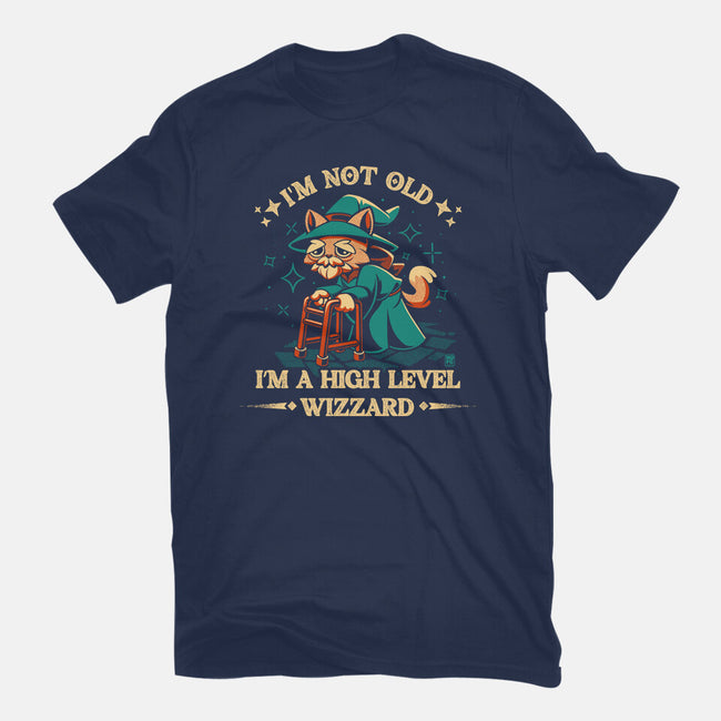 High Level Wizard-Unisex-Basic-Tee-worlddominationforcats