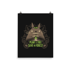 Totoro Plant