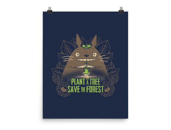 Totoro Plant