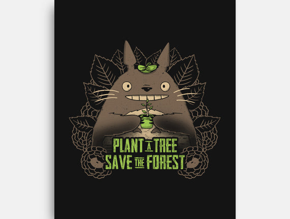 Totoro Plant