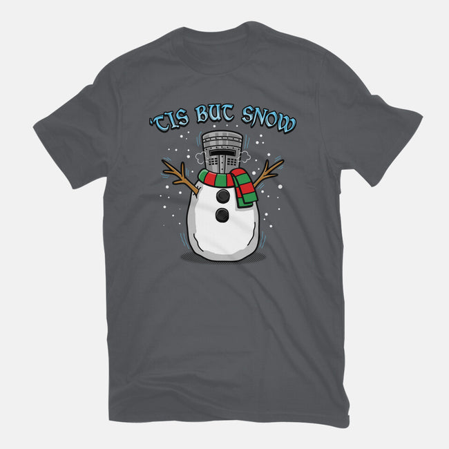 Tis But Snow-Womens-Fitted-Tee-Boggs Nicolas