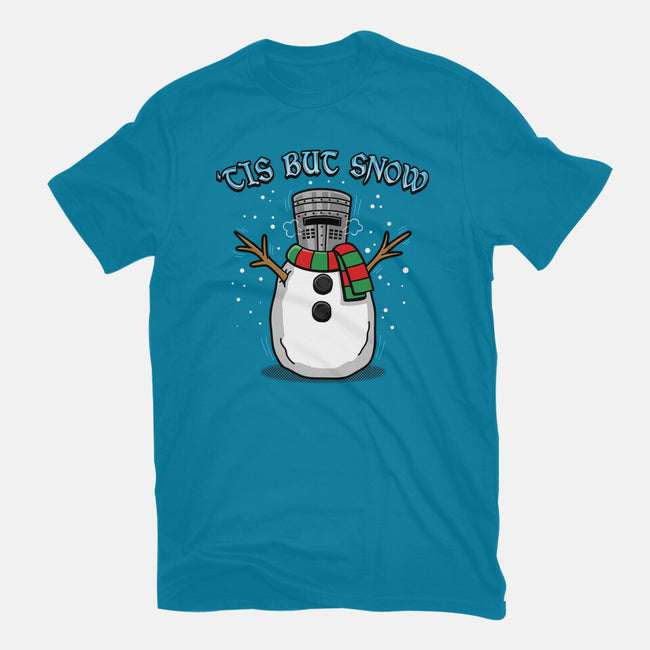 Tis But Snow-Womens-Fitted-Tee-Boggs Nicolas