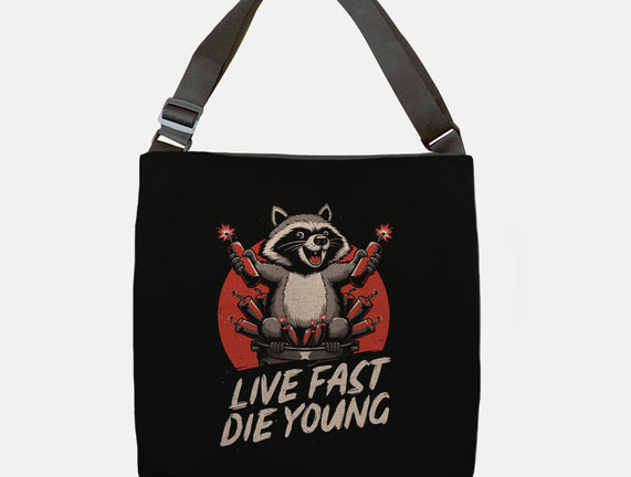 Raccoon Garbage Chaos