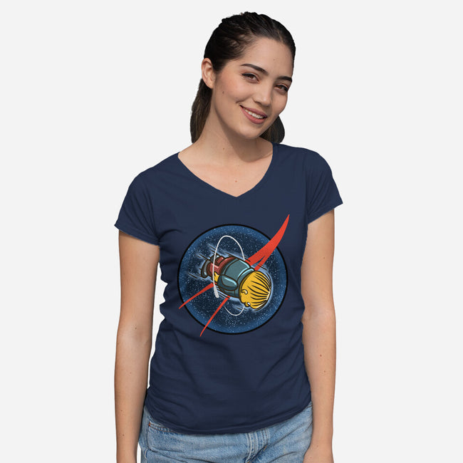 I Am A Asteroid-Womens-V-Neck-Tee-nickzzarto