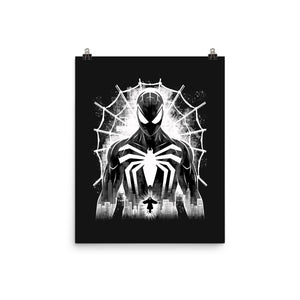 Spider Noir