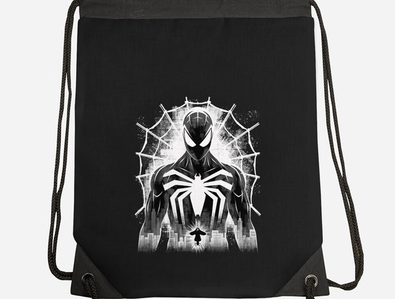 Spider Noir