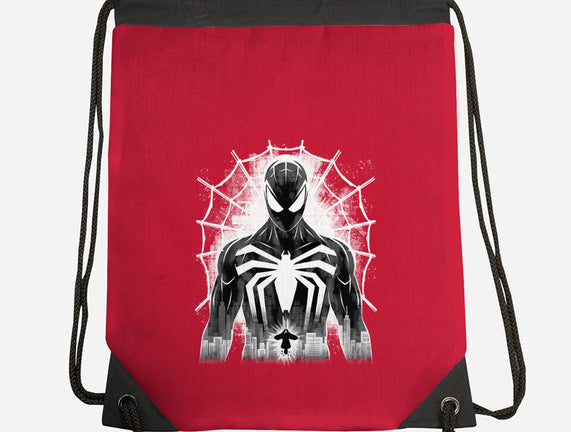 Spider Noir