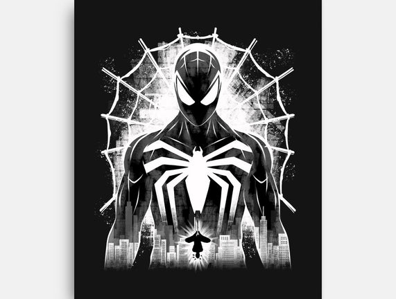 Spider Noir