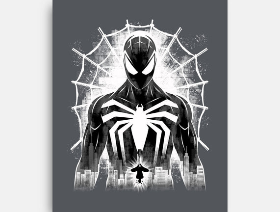 Spider Noir