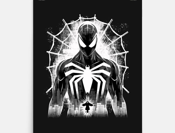 Spider Noir