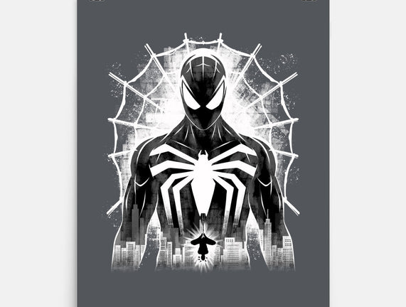 Spider Noir