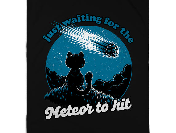 Cat Waiting The Meteor